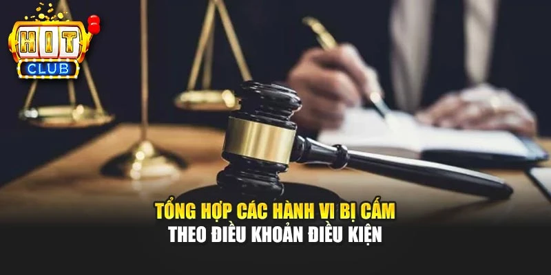Tổng hợp các hành vi bị cấm theo điều khoản điều kiện